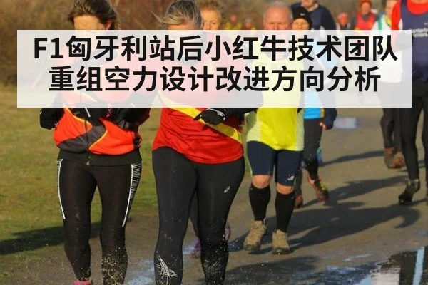 F1匈牙利站后小红牛技术团队重组空力设计改进方向分析