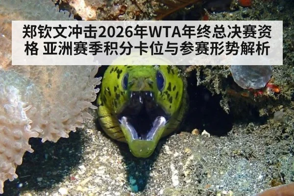 郑钦文冲击2026年WTA年终总决赛资格 亚洲赛季积分卡位与参赛形势解析